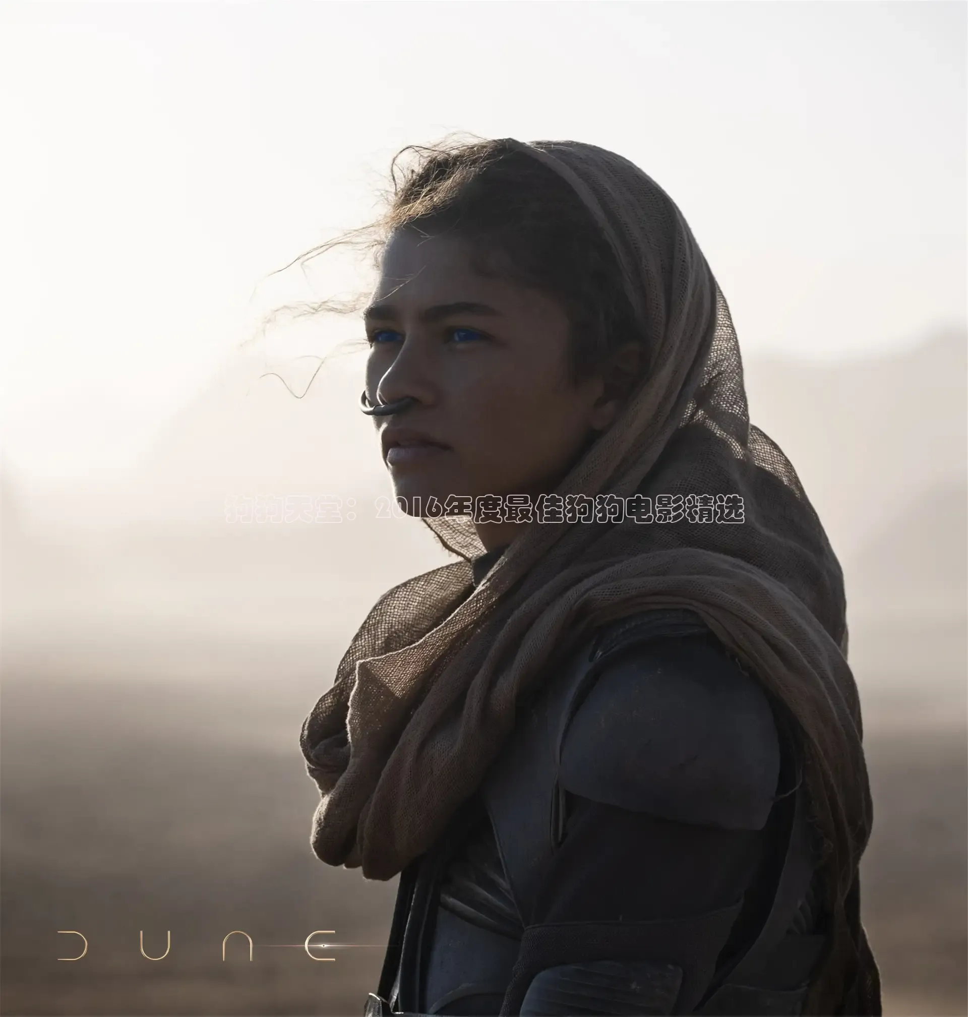 星辰影院免费高清电视剧大全